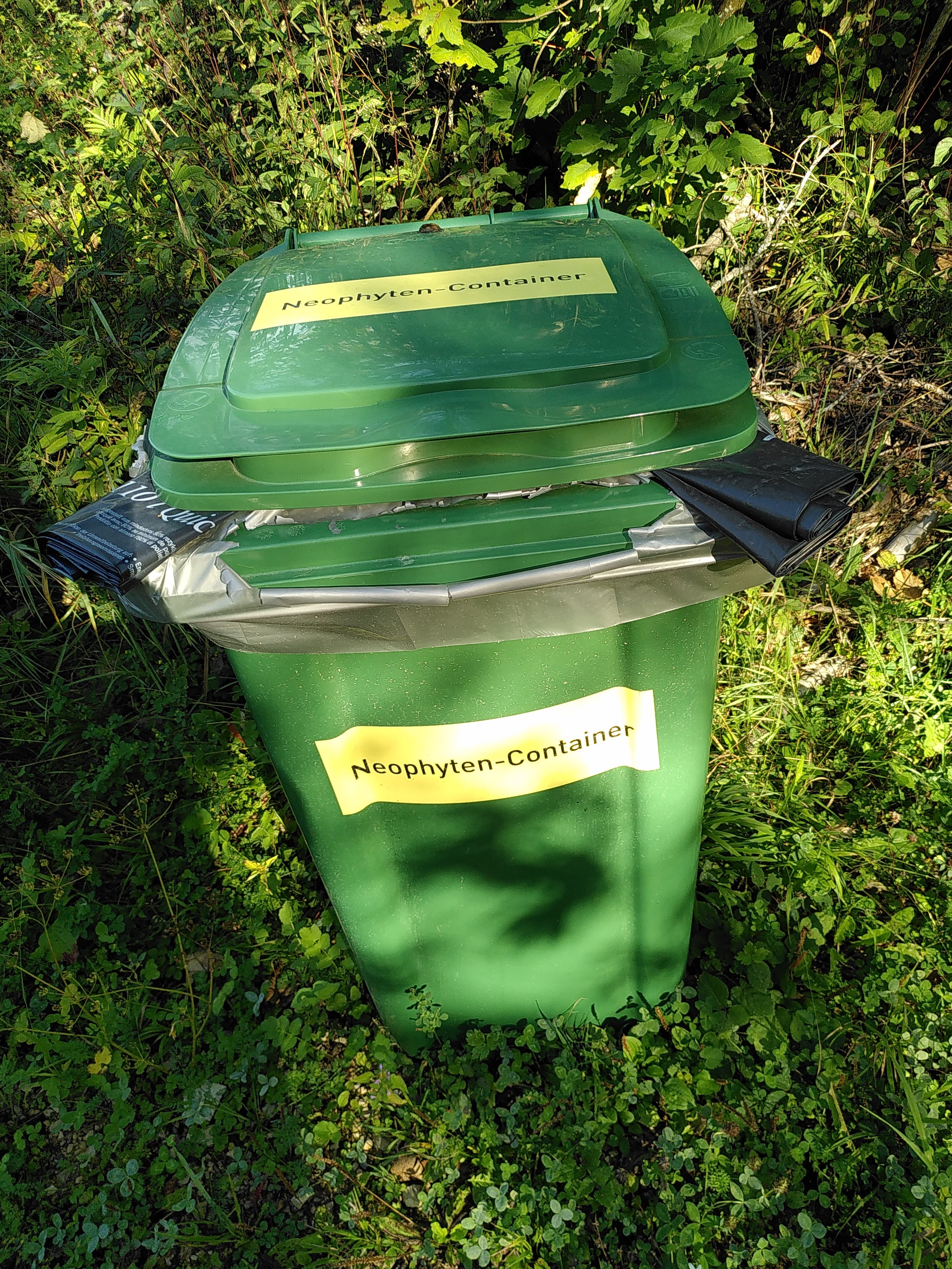 Alles unter Kontrolle